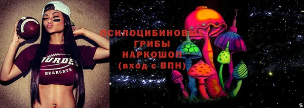spice Вязники