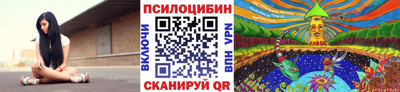наркота  Новосиль  Галлюциногенные грибы ЛСД 