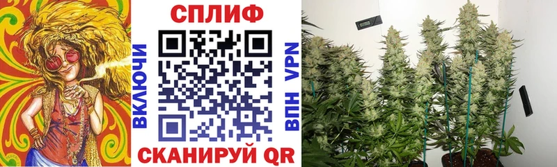 Конопля гибрид  OMG ссылка  Новосиль 